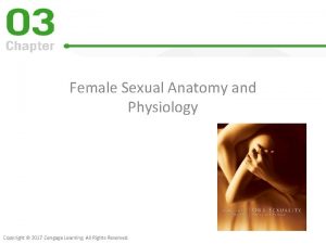 Female Sexual Anatomy and Physiology Copyright 2017 Cengage