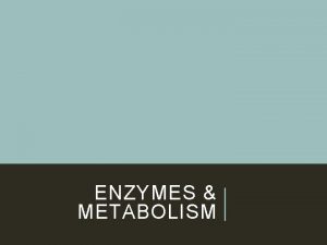 ENZYMES METABOLISM METABOLISM Recall the sum of all