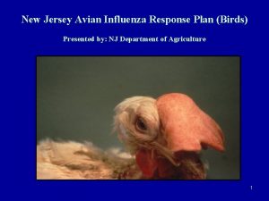 New Jersey Avian Influenza Response Plan Birds Presented