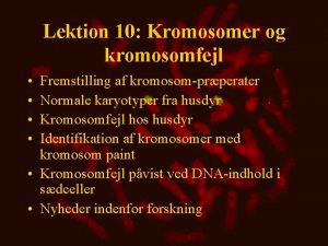 Lektion 10 Kromosomer og kromosomfejl Fremstilling af kromosomprperater