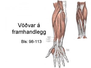 Vvar framhandlegg Bls 98 113 Vvar framhandlegg Flestir