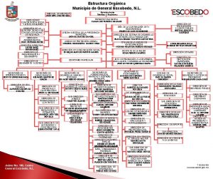 Estructura Orgnica Municipio de General Escobedo N L