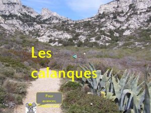 Les calanques Pour avancer cliquez moi Fleur de