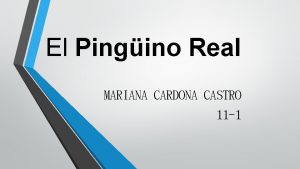 El Pingino Real MARIANA CARDONA CASTRO 11 1