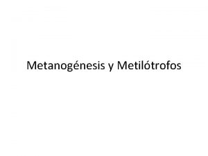 Metanognesis y Metiltrofos Ciclo del Monxido de Carbono