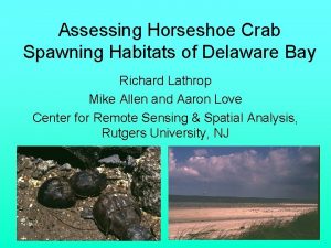 Assessing Horseshoe Crab Spawning Habitats of Delaware Bay