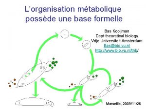 Lorganisation mtabolique possde une base formelle Bas Kooijman