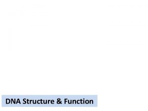 DNA Structure Function You Tube Index DNA Structure