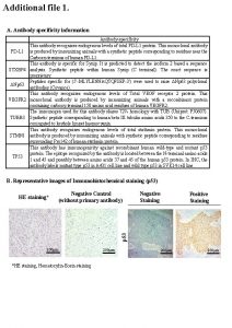 Additional file 1 A Antibody specificity information Antibody