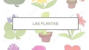 LAS PLANTAS 1 PARTES DE LAS PLANTAS SON