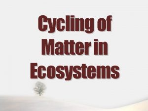 Cycling of Matter in Ecosystems Biogeochemical Cycles Matter