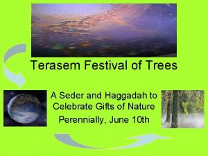 Terasem Festival of Trees A Seder and Haggadah