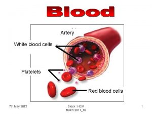 Artery White blood cells Platelets Red blood cells