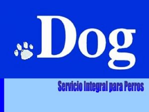 Industria Industria de servicios y productos para perros