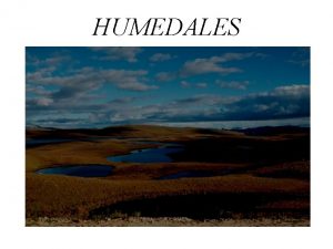 HUMEDALES IMPORTANCIA DE LOS HUMEDALES Los humedales ofrecen