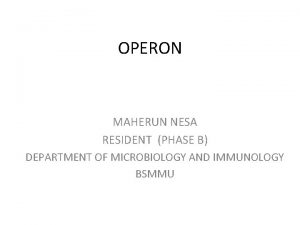 OPERON MAHERUN NESA RESIDENT PHASE B DEPARTMENT OF