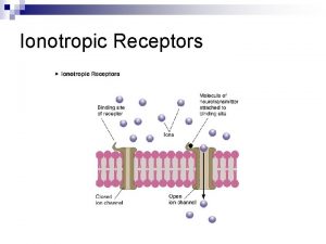 Ionotropic Receptors Postsynaptic potentials Depending on the type