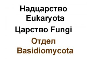 Eukaryota Fungi Basidiomycota Basidiomycetes Homobasidiomycetidae Holobasidiomycetidae Polyporales Sparassis