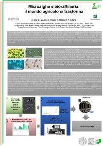 Microalghe e bioraffineria il mondo agricolo si trasforma