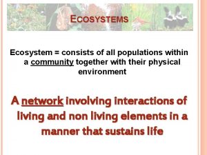ECOSYSTEMS Ecosystem consists of all populations within a