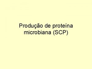 Produo de protena microbiana SCP O que Singlecell