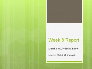 Week 8 Report Misrak Seifu Wesna Lalanne Mentor