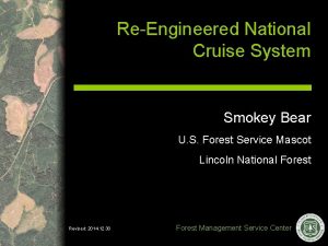 ReEngineered National Cruise System Smokey Bear U S