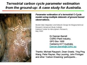 Terrestrial carbon cycle parameter estimation from the groundup