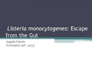Listeria monocytogenes Escape from the Gut Angela Harris