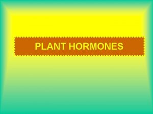 PLANT HORMONES Hormones Chemical messenger that stimulates or