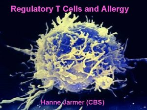 Regulatory T Cells and Allergy Hanne Jarmer CBS