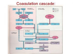 Coagulation cascade Hereditary coagulation disorders Haemophilia A Is