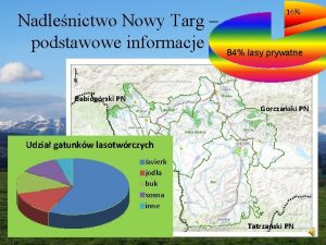 Nadlenictwo Nowy Targ podstawowe informacje 16 84 lasy