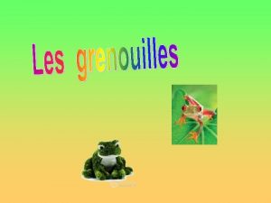 Questce que tu connais sur les grenouilles Savaistu