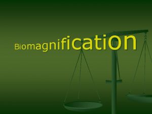 cation n if i Biomag Bioaccumulation vs Biomagnification