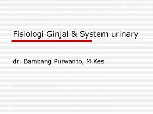 Fisiologi Ginjal System urinary dr Bambang Purwanto M