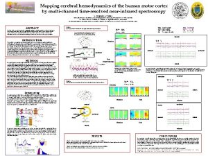 Mapping cerebral hemodynamics of the human motor cortex