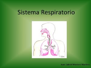 Sistema Respiratorio Juan Gabriel Montero Martnez Sistema Respiratorio