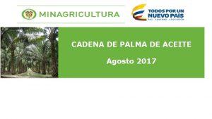 CADENA DE PALMA DE ACEITE Agosto 2017 INDICADORES
