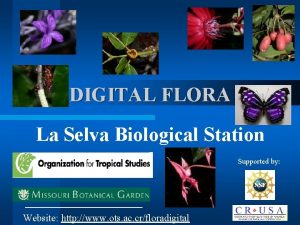 DIGITAL FLORA La Selva Biological Station Supported by