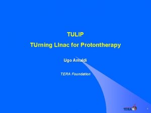 TULIP TUrning LInac for Protontherapy Ugo Amaldi TERA