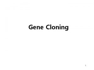 Gene Cloning 1 Gene Cloning Gene Clone Human