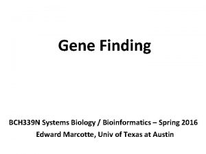Gene Finding BCH 339 N Systems Biology Bioinformatics