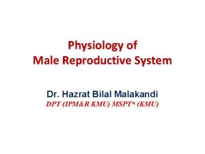 Physiology of Male Reproductive System Dr Hazrat Bilal