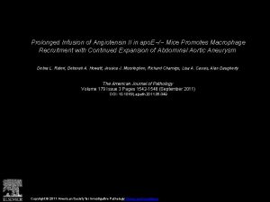 Prolonged Infusion of Angiotensin II in apo E