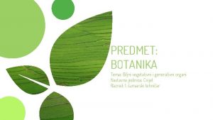 PREDMET BOTANIKA Tema Biljni vegetativni i generativni organi