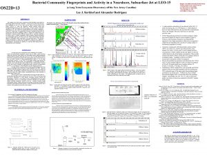 Bacterial Community Fingerprints and Activity in a Nearshore