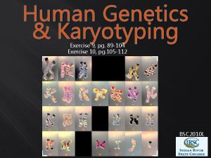 Human Genetics Karyotyping Exercise 9 pg 89 104