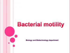 Bacterial motility Biology and Biotechnology department v A