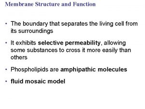 Membrane Structure and Function The boundary that separates